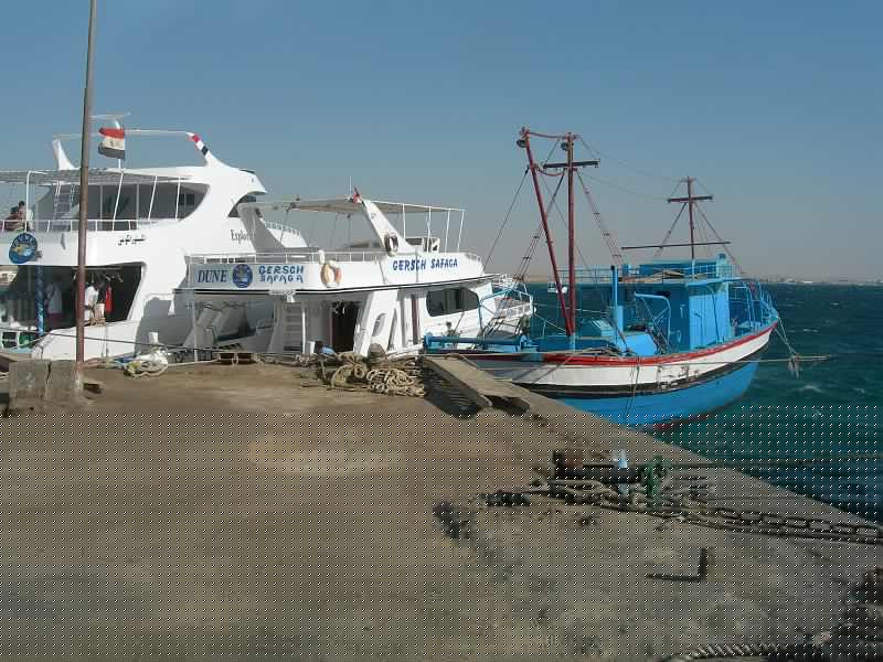 SAFAGA 07  2008 202.jpg